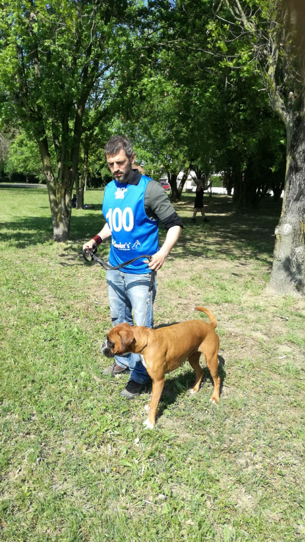 Handler - raduno cani boxer ad Abano Terme (PD) - maggio 2018
