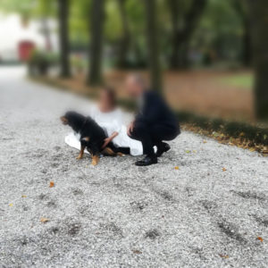 Servizio di Wedding Dog Sitter in tutta Italia | Alessandro Bernazzi, Educatore Cinofilo qualificato