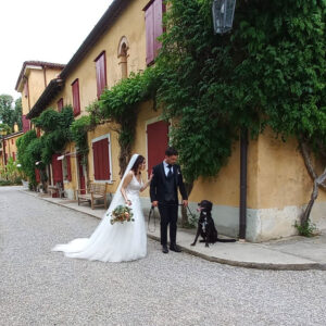 Wedding Dog Sitter Maggio 2022